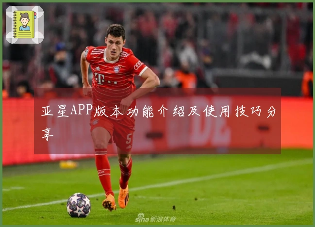 亚星APP版本功能介绍及使用技巧分享