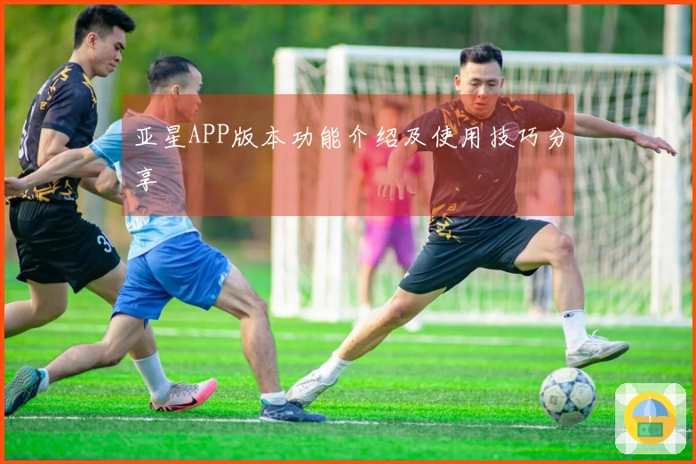 亚星APP版本功能介绍及使用技巧分享