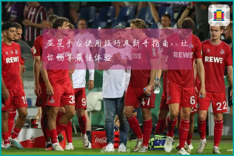 亚星平台使用技巧及新手指南，让你畅享最佳体验