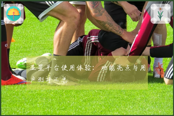 亚星平台使用体验：功能亮点与用户测评汇总
